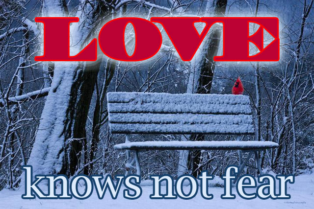 LOVE knows not fear